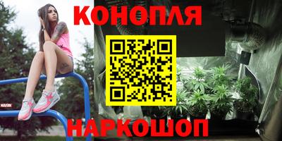 дмт Братск